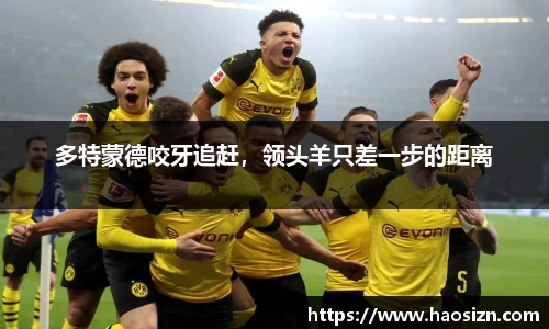 yy体育