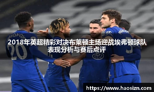 2018年英超精彩对决布莱顿主场迎战埃弗顿球队表现分析与赛后点评