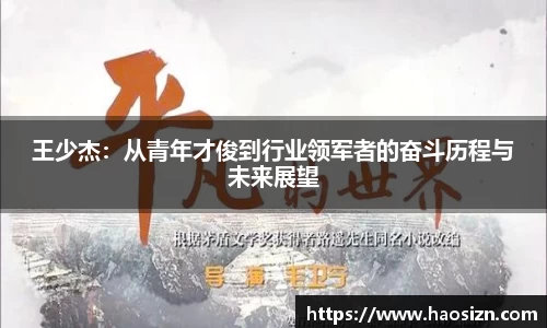王少杰：从青年才俊到行业领军者的奋斗历程与未来展望