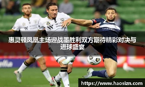yy体育