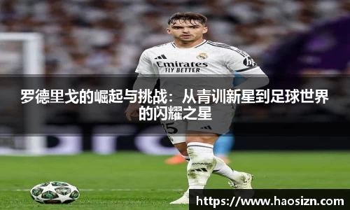 yy易游体育